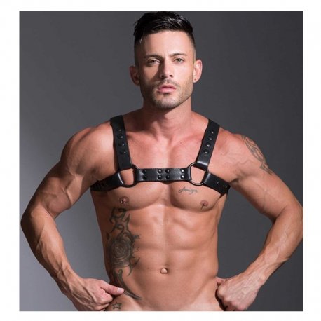 Streamline Bulldog Harness - Black | Black - Large | Extra L