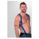 Neoprene Heckler Harness Black / Blue - Small / Medium