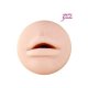 Masturbator Jesse Jane´s Mund