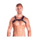 Mister B Leather Chest Harness Grey