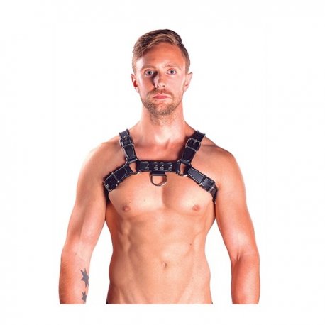 Mister B Leather Chest Harness Grey