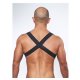 URBAN Cockstrap Club Harness