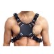 Leather Walking Harness Black-Black