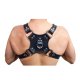 Leather Walking Harness Black-Black