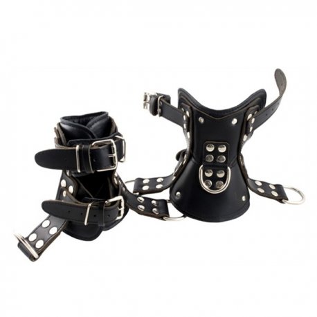 Premium Ankle Suspension Restraints