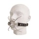 Spider Gag
